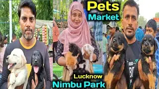 लखनऊ की सबसे सस्ती pets Market 🦮🐈‍⬛ |Pet Market Lucknow |Pet Market