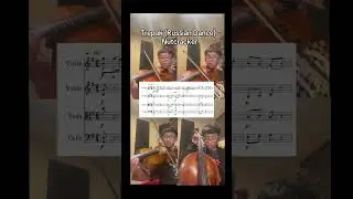 Trepak (Russian Dance) - Nutcracker- Tchaikovsky #violin #strings #classicalmusic #viola #music #fyp