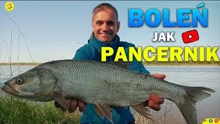 Majowe Bolenie !!! Wędka, kołowrotek, plecionka.