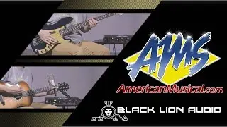 Black Lion Audio Auteur Quad Demo - American Musical Supply