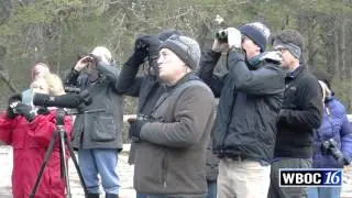 Exclusive Interview with Chris Bennett, Delmarva Birding Weekend Guide