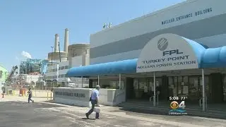 Tampa Man Accused Of Plotting Turkey Point Attack