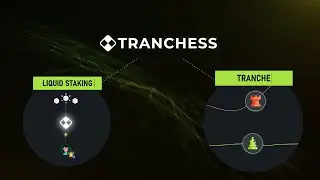 Introduction to Tranchess