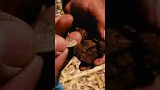 Silver Spanish Cob Found! AMAZING FIND by Juan #pleasesubscribe #treasurehunting #metaldetecting