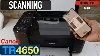 Сканирование Canon Pixma TR4650.