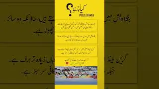 Mind Blowing World Facts! | #facts #education #world #urdu #travel #pakistan #information #shorts