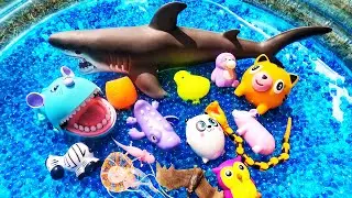 Learn Animal Names: Owl Bat Zebra Axolotl | Orbeez Water beads