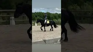 Nabo hest og Coco elsker ride ind stop ud p&aring; din rideskole ind skal p&aring; efterskole god ride 🐴🐴
