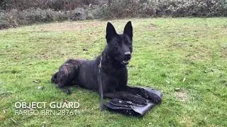 Knpv Object guard training