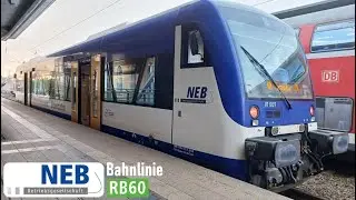 NEB | Mitfahrt RB60: Frankfurt (Oder) - Eberswalde Hbf | Stadler Regio-Shuttle RS1 (BR 650)