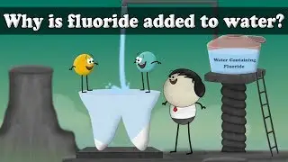Why is fluoride added to water? | #aumsum #kids #science #education #children