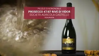 Prosecco Valdobbiadene DOCG | Rive di Vidor| Castello | EP. 393