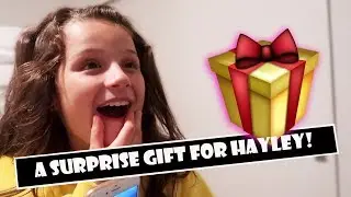 A Surprise Gift For Hayley 🎁 (WK 384.2) | Bratayley