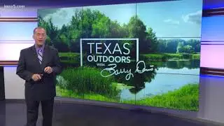 TEXAS OUTDOORS: Yearly catfish stocking