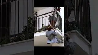 🎬 The Monster 1994 funniest movie I have ever Seen #ytshorts #movie