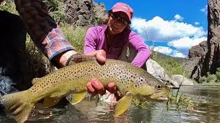 3 great days in the Black Canyon of the Gunnison River  fishing salmon flies