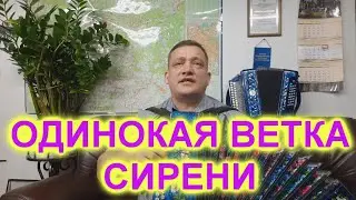 ПРИЯТНОГО ПРОСЛУШИВАНИЯ! ОДИНОКАЯ ВЕТКА СИРЕНИ!