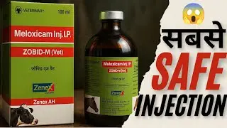 Miloxicam Injection Veterinary Use in Hindi