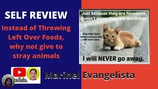 Self Review, Love Cats, Don't Throw Left Over Food