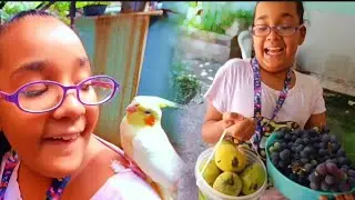 Juju e jade colhendo mangas e uvas no quintal