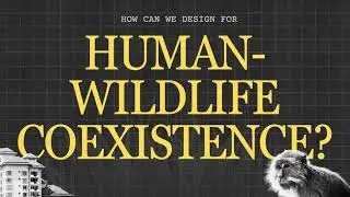 Human-Wildlife Coexistence: Civet Adaptive Architecture