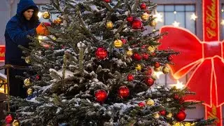 Designer trees from around the world light up Moscow's Christmas festival