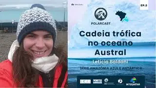 Cadeia trófica no oceano Austral
