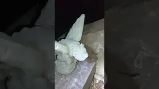 Druid Hill Park's Zen Garden at Midnight (Druid Hill Series, Episode 0)