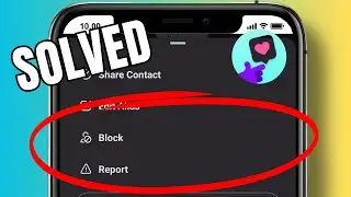 How to report a user on Litmatch