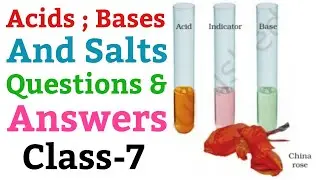 Acids Bases And Salts, | Questions And Answers, Science For Class 7 (NCERT)