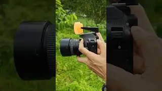 Dslr camera and 50mm lens for beginners 2025 🔥📸