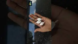DIY Sliding Fishing Float in 30 Seconds | Cheap & Easy 🎣 #rod #bfsfishing #fishing