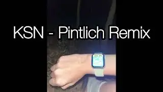 KSN - Pintlich Remix