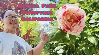 BEST Park In Sunnyvale California, Ortega Park TOUR In 2022