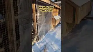 Winter Proofing Chicken Coop #chickencoop #diy #chickens #turkeys #ducks #homestead #farm #winter