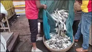 Bihar Ka Sabse Bada 😲 Local Machhali Bajar | Machhali Market Bhau | How To Fish Market Price Today