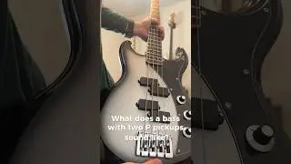 Бас с двумя звукоснимателями P? Распаковка Dunable DE Gnarwhal Bass