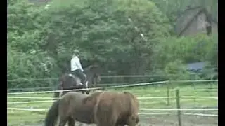 Brynja nageeflijk in t&ouml;lt
