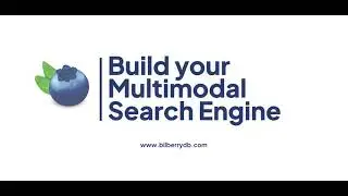 Multimodal Search Engine Showcase | BilberryDB