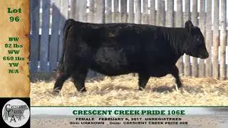 Lot 96 CCA 2018
