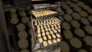 Antakya k&ouml;mbesinin yapılışı !! #reklam #k&ouml;mbe #shortvideo