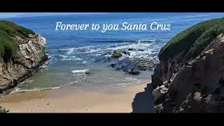 Beautiful beach ⛱️ in Santa Cruz