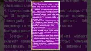 О бактериях #1