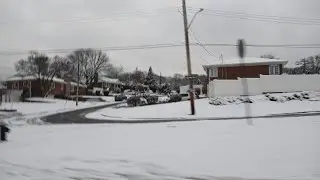 Snow day #shortsfeed #snow #snowfall #fyp 