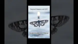 Beyond reason - release date 1/27