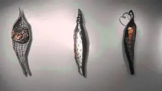 SHELLS