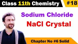 NaCl crystal structure class 11