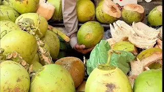 Amazing! $1 Coconut Water - Fruit Cutting Skills
