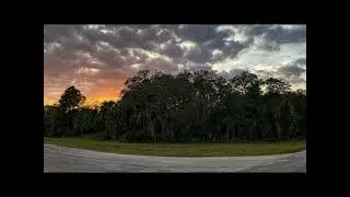 CARLIGHTS - Florida Lifemaker