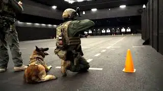 ANZAC Forces 2018